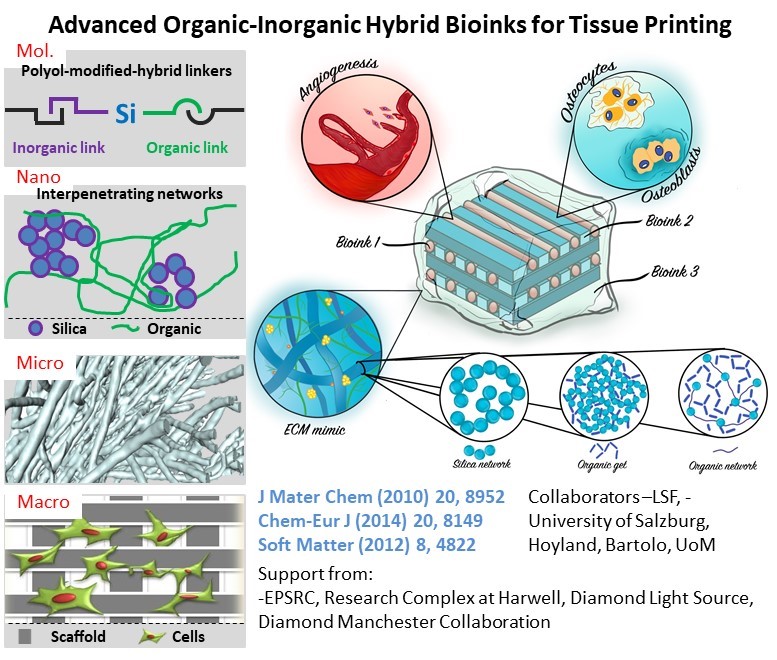 Research Projects Materials for regenerative medicine Biomaterials